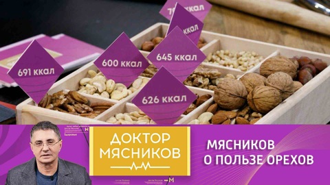 Врач объяснил, зачем пришел на эфир с белочкой