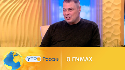 Иван Затевахин рассказал самое интересное о пумах