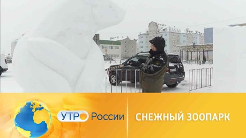 В Нарьян-Маре создали удивительный снежный зоопарк