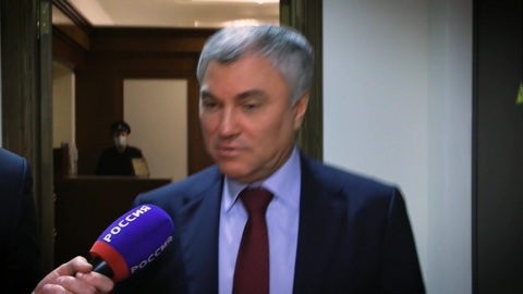 Что будет после признания ДНР и ЛНР: ответ Володина