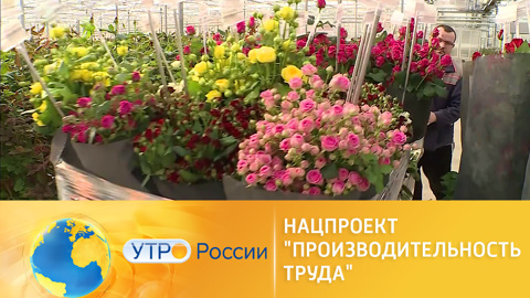 Цветочные предприятия России увеличивают объемы производства
