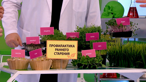 Замедление старения и стройность: почему полезно есть микрозелень