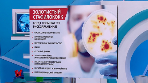 Мясников рассказал, почему золотистый стафилококк смертельно опасен