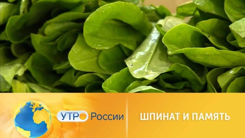 Медики открыли неожиданное свойство шпината