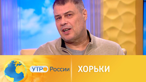 Самое интересное о хорьках