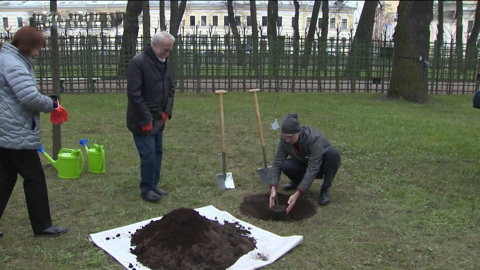 В Летнем саду Петербурга высадили саженец, выращенный из знаменитого дуба Петра Первого