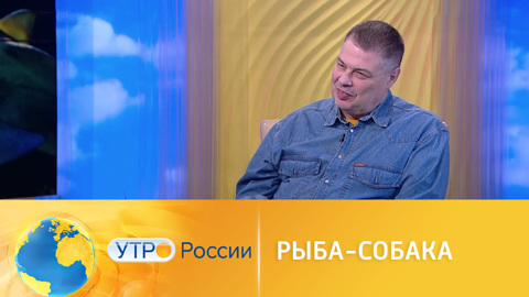 Почему некоторые рыбы имеют необычные названия