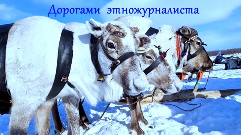 Ханты. Дорогами этножурналиста