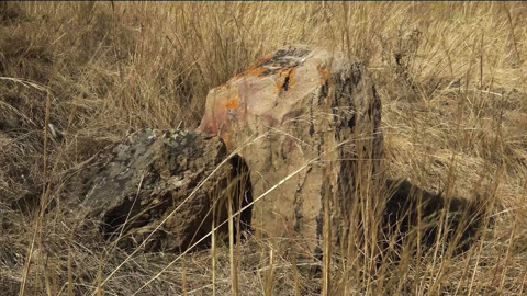 В Алтайском районе Хакасии повреждён объект культурного наследия