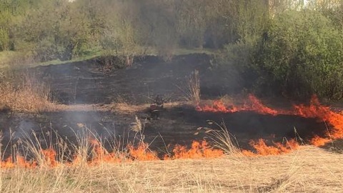 В Курганской области сохраняется высокая пожарная опасность