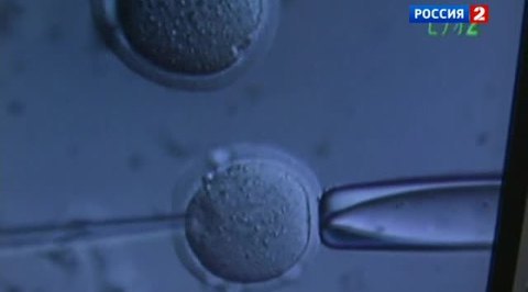 Мышь из хвоста, многофункциональный хронометр и невидимая маркировка