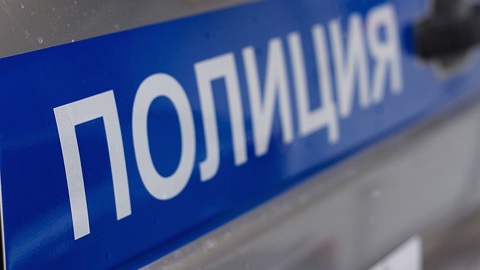 Упавшую в протоку девятилетнюю девочку спас полицейский в Красноярском крае