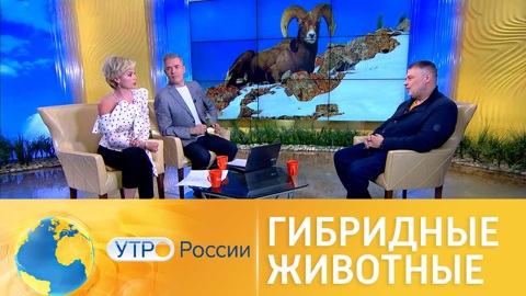 Какие животные считаются гибридными