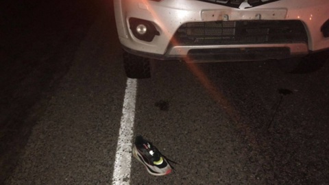 В Тверской области водитель насмерть сбил стоявшего на трассе 24-летнего пешехода