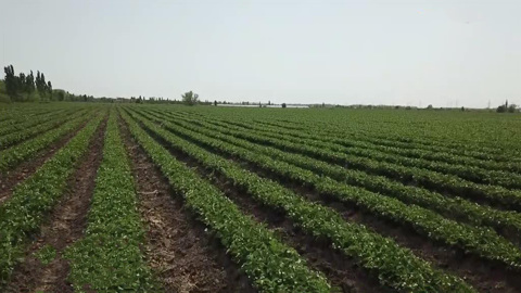 Эфир от 15.05.2022. Английские субтитры