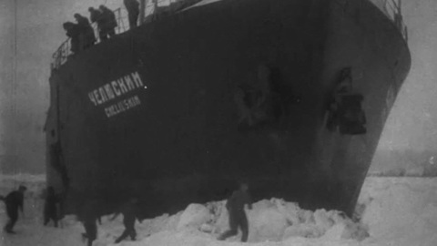В столице прошла акция "День полярного кино"