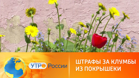 За клумбы из покрышек теперь можно получить штраф