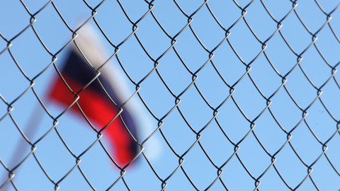 8 месяцев в условиях санкций