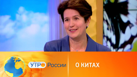 Новый вид китов обнаружен возле Южных Курил