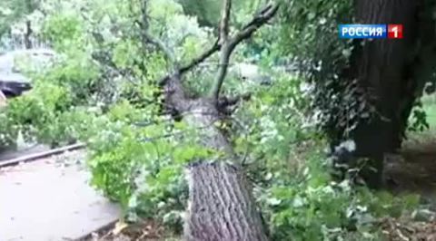В столичном регионе действует штормовое предупреждение 