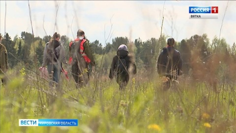 В Слободском районе нашли заблудившегося в лесу пожилого грибника