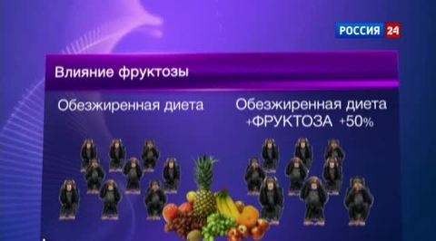Избыток фруктозы повреждает печень 
