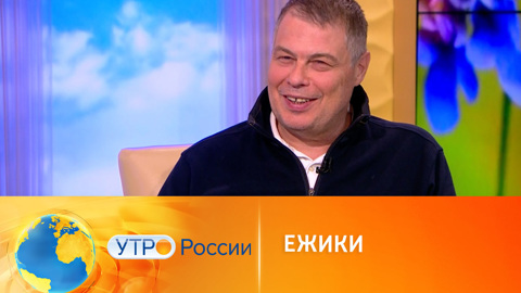 Чем ежи могут быть полезны человеку