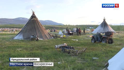 Арктический туризм в условиях санкций: что может предложить Ямал