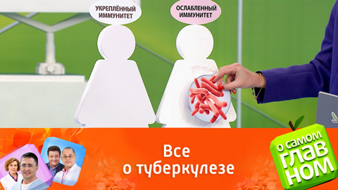 Мифы и правда о туберкулезе