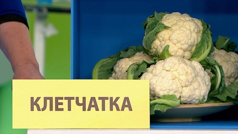 Едим и худеем: какие продукты улучшают здоровье кишечника