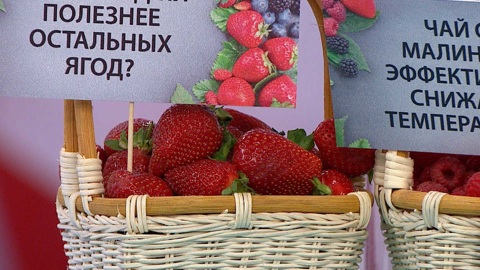 Польза и вред ягод: отвечаем на главные вопросы