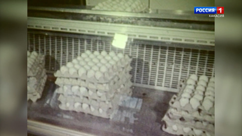 1991 год