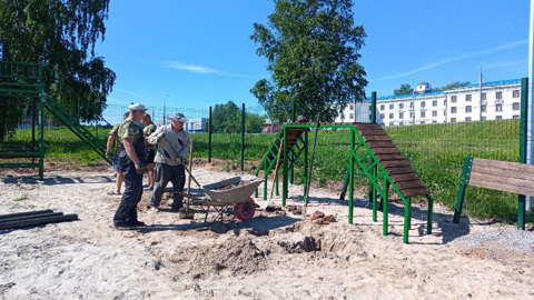 В Рыбинске оборудуют площадки для прогулок с собаками