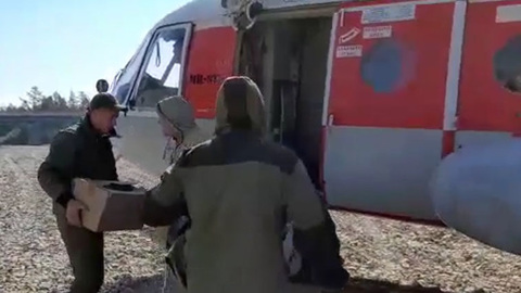 Тындинский округ охватили лесные пожары