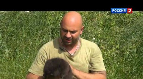 Могло быть хуже. Полеты во сне и наяву  