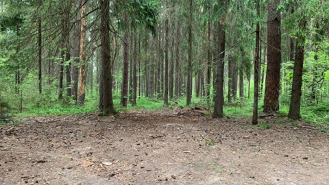 Национальный парк в Нижегородской области спроектируют в 2022 году
