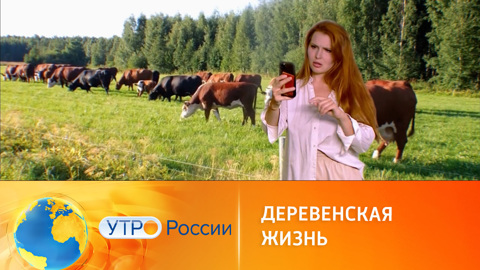 Сельское очарование: особенности жизни за городом