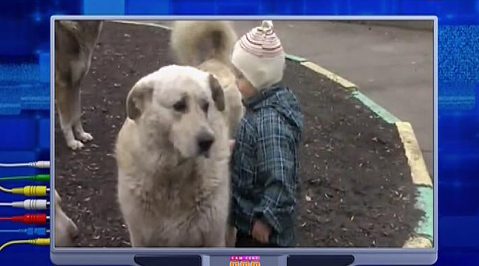 Эфир от 04.08.2013