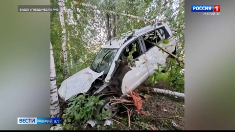 Нетрезвый водитель в Йошкар-Оле въехал в берёзовую рощу