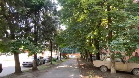 Сухая ветка упала на женщину с младенцем в Краснодаре