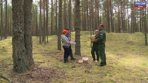Несмотря на запрет, псковичи продолжают посещать леса и озера