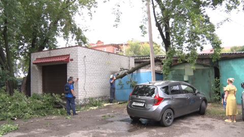 Непогода в Благовещенске повалила деревья на припаркованные автомобили
