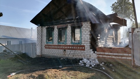 В Марий Эл после поджога сгорело дотла частное хозяйство