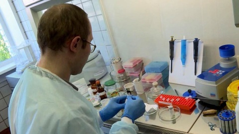 Более 4 с половиной тысяч северян пострадали от укусов клещей с начала сезона