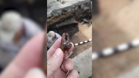 В Печорах на раскопе археологи обнаружили старинную игрушку