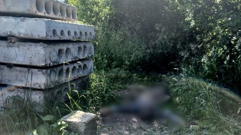 В Можге 17-летнего подростка подозревают в избиении знакомого до смерти