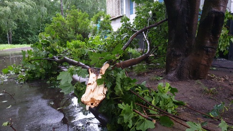 Погода в Москве: буря успокоится только ночью