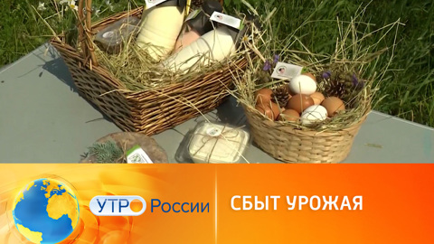 Объединение фермеров: где и как продавать урожай