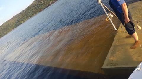 В МЧС рассказали о первых результатах водолазных работ на месте крушения теплохода на Волге