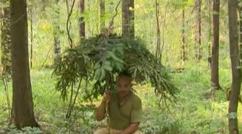 Могло быть хуже. Большой брат